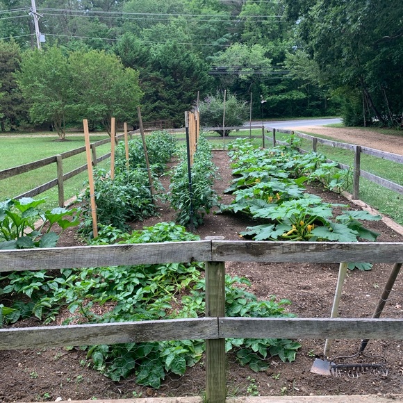 Meet your Posher, Jan - Picture 13 of 16